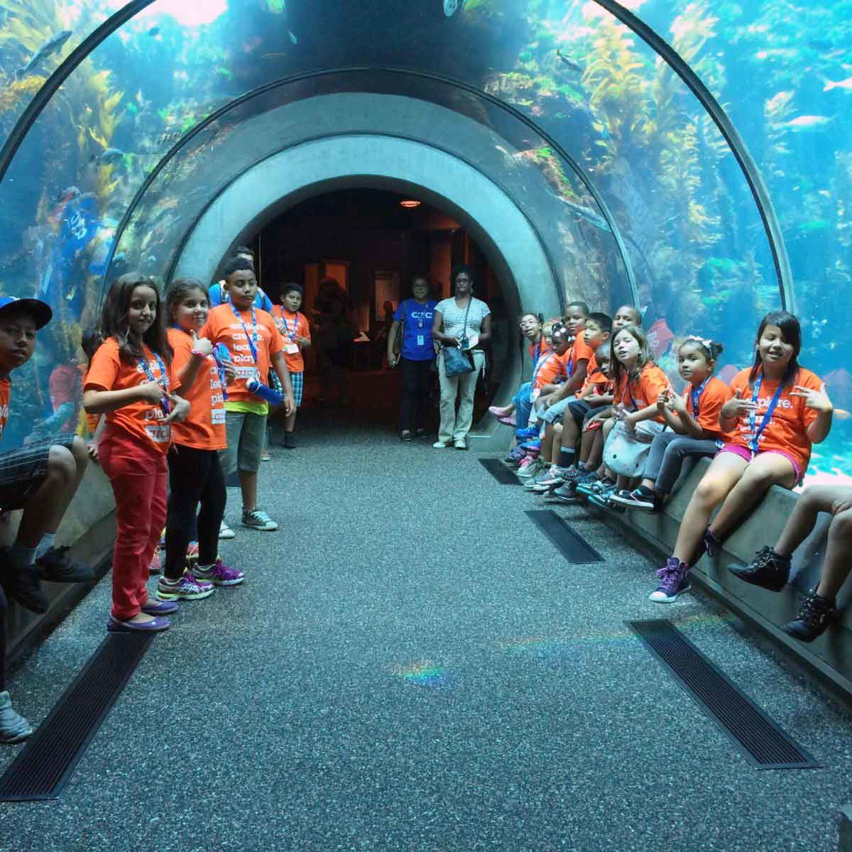 virtual aquarium field trip